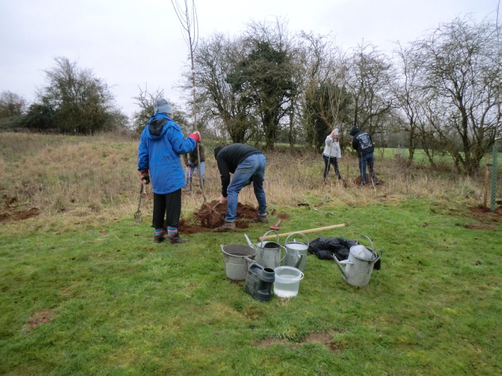 Sunningwell WI planting elm trees on the village green, 10 Jan 2021