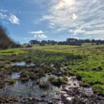 Rewetting-zone-1.jpg